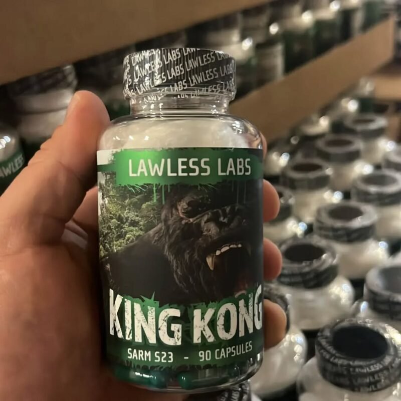 432260952 1157172305285750 2749475129860060319 n